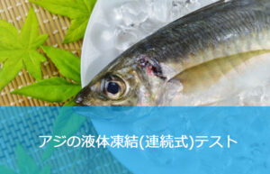 アジ(鯵)の急速凍結【液体急速凍結装置による実機凍結試験】