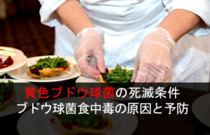 HACCP導入に伴う一般的食品衛生管理プログラム(PP,PRP)の重要性について